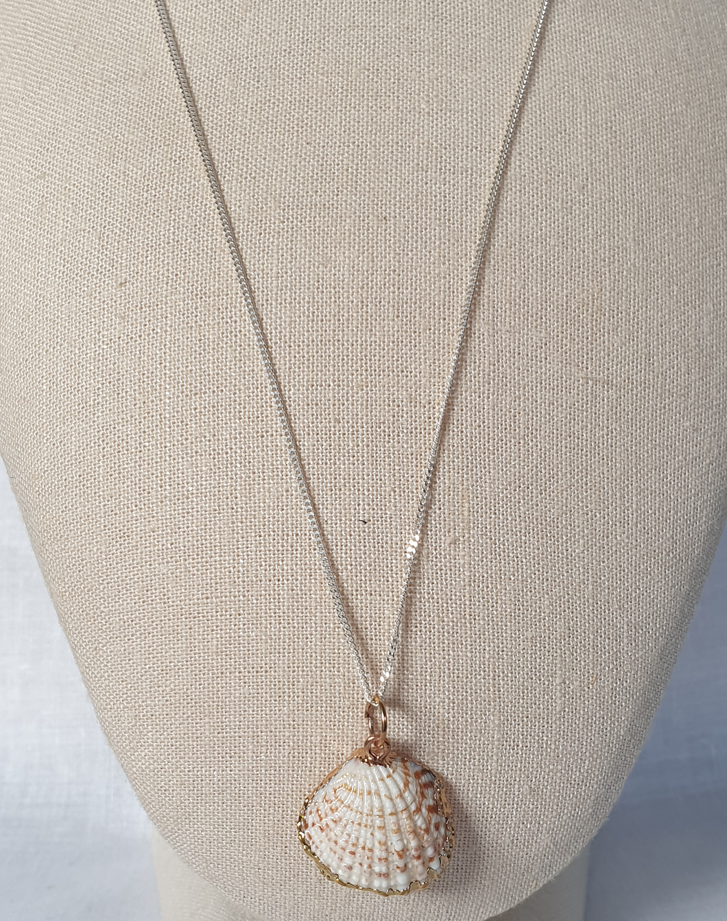 Shell pendant